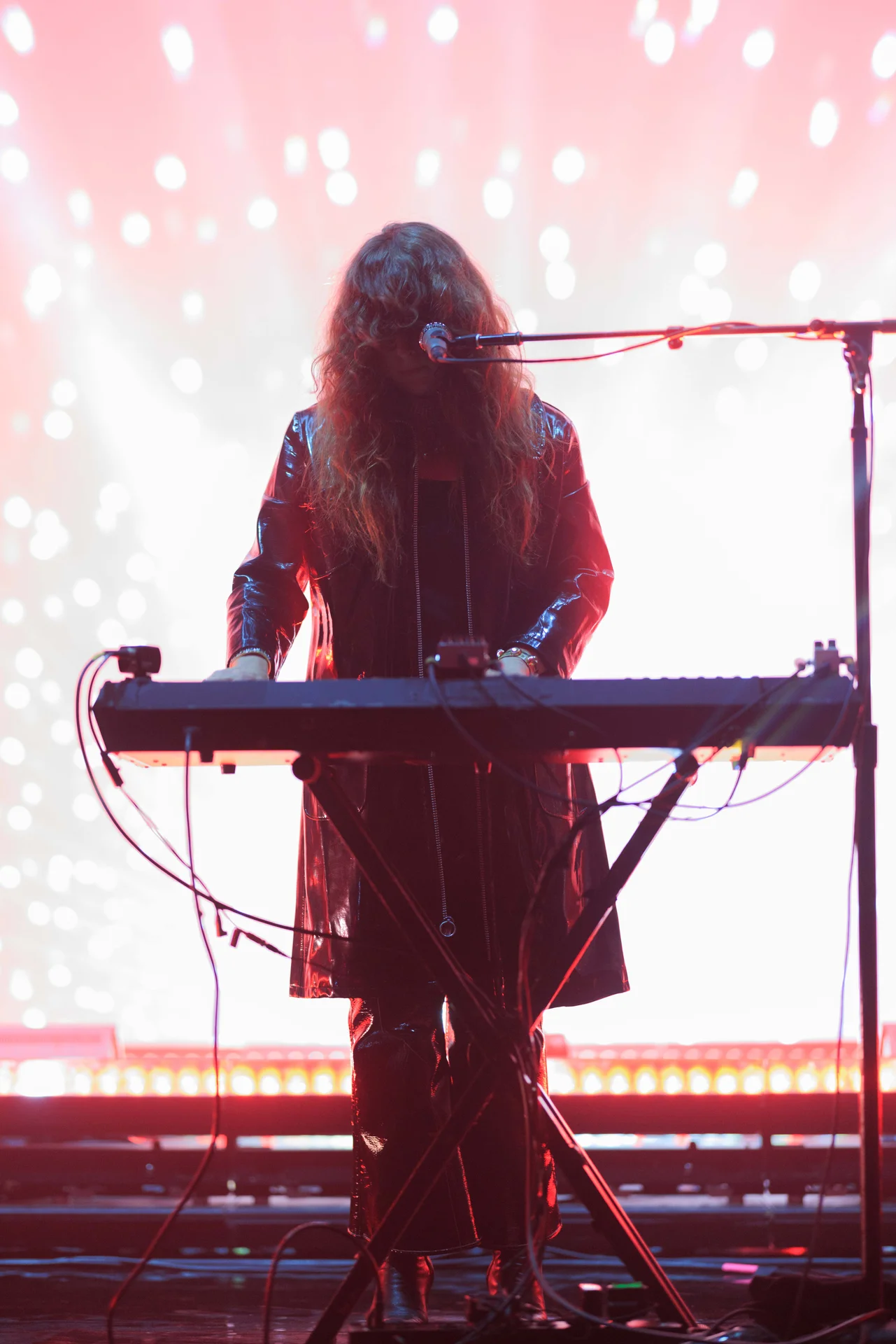 Beach House Concert - photo 27 of 38